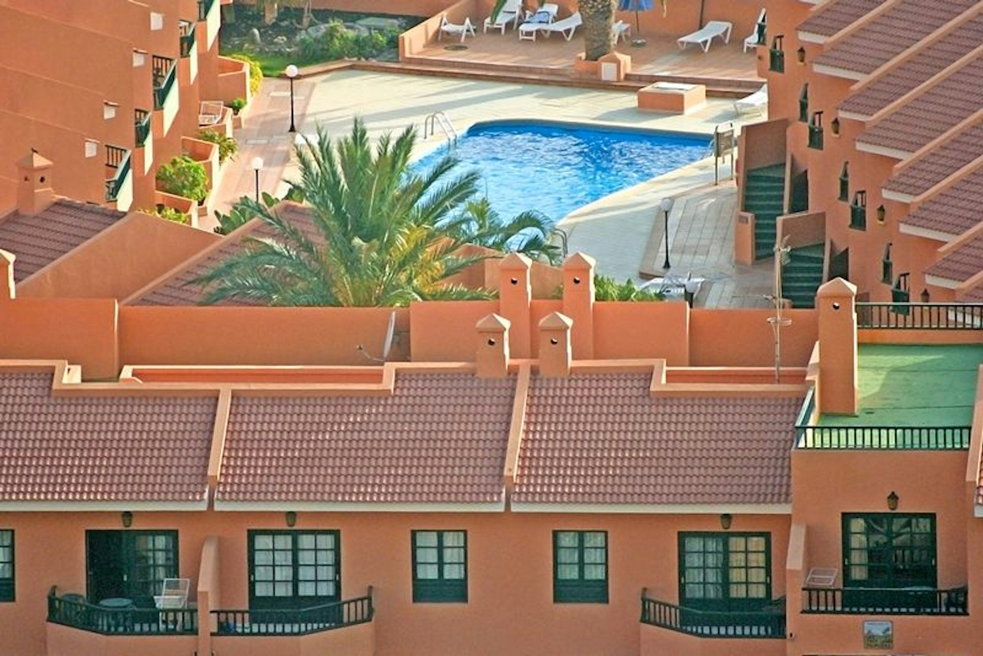 Las Tres Palmeras photo 8