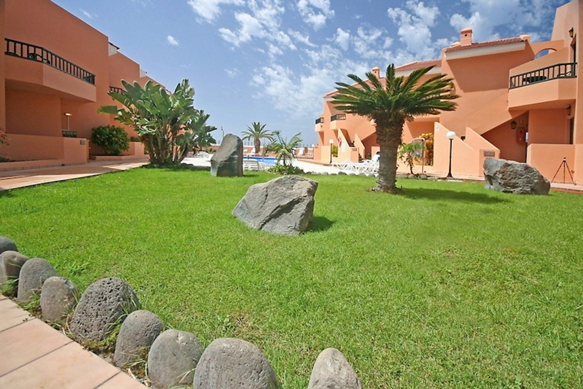 Las Tres Palmeras photo 9