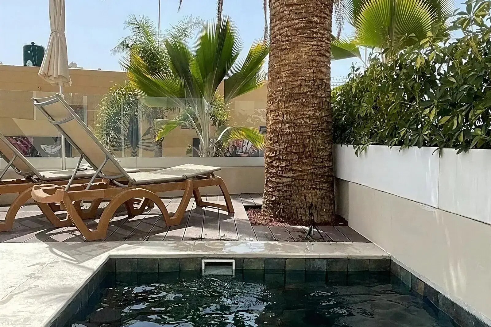 Los Olivos Beach Resort photo 6