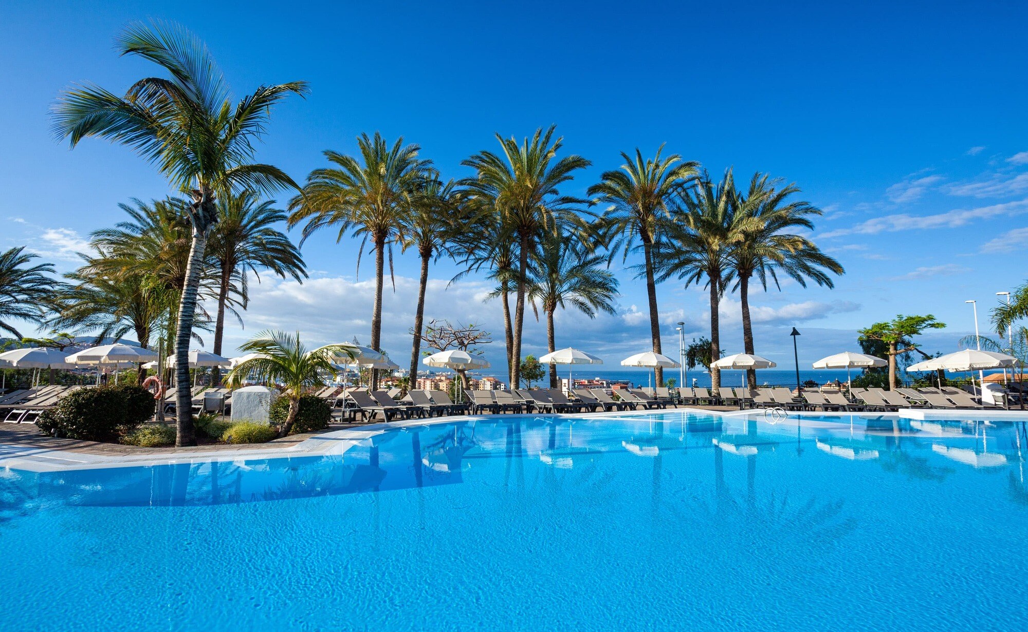 Melia Jardines del Teide photo 2