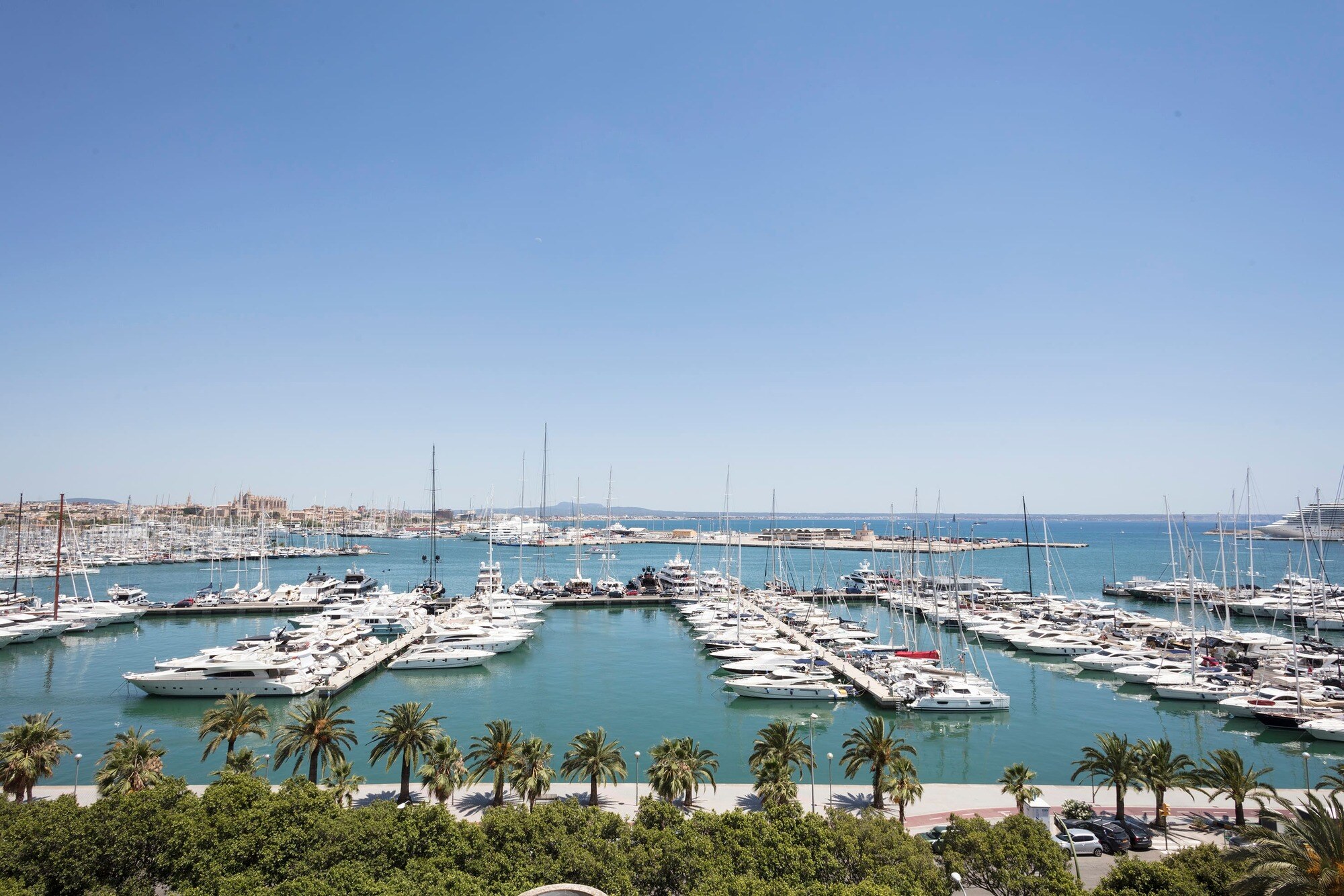 Melia Palma Marina photo 2