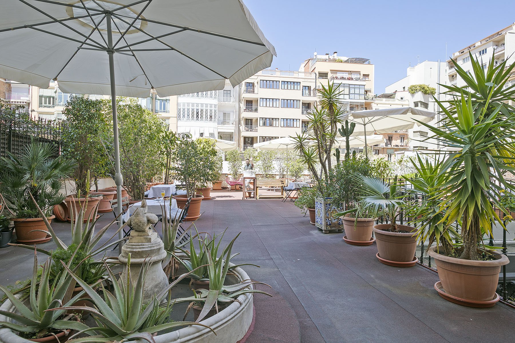 Mihlton Barcelona photo 4