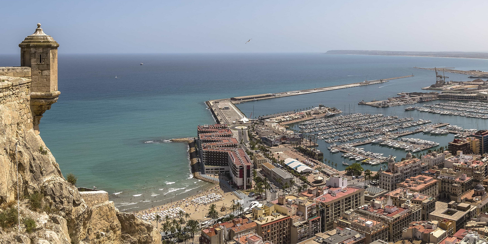 Occidental Alicante