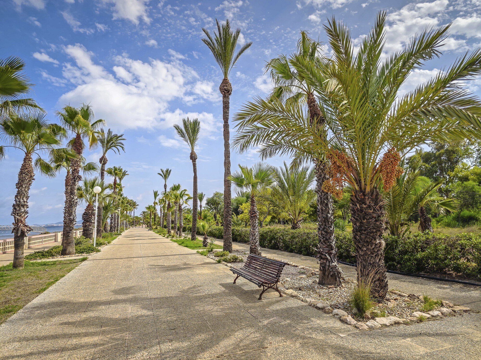 Occidental Mar Menor photo 5