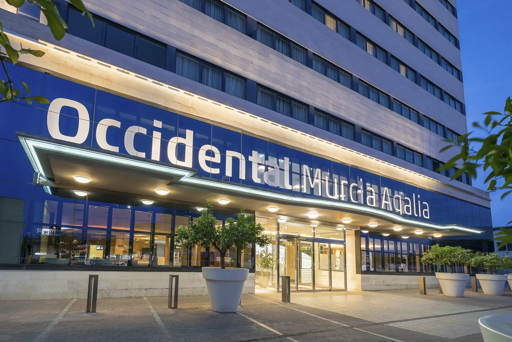 Occidental Murcia Agalia photo 4