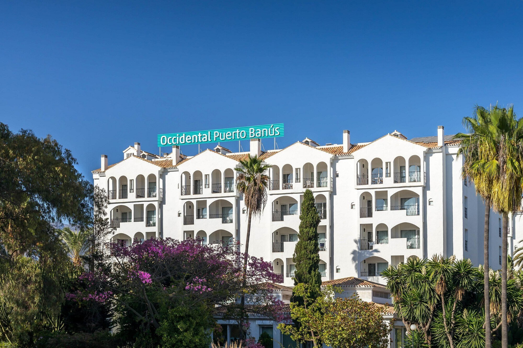 Occidental Puerto Banús photo 2