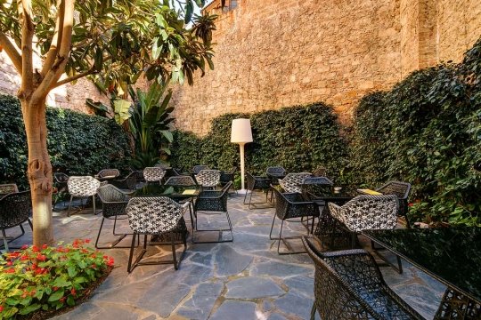 Olivia Plaza Hotel photo 3