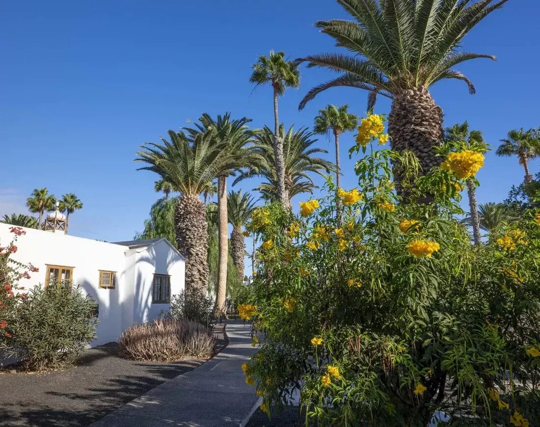 Ona Las Brisas photo 7