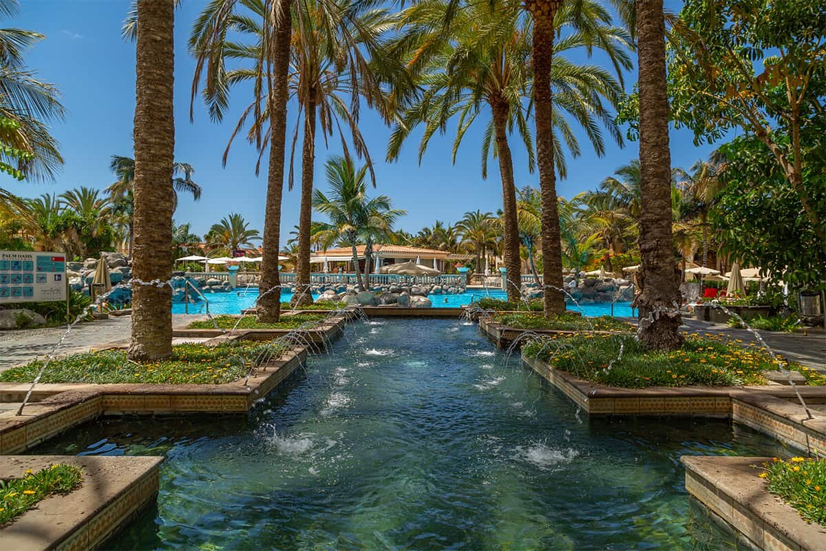 Palm Oasis Maspalomas photo 3