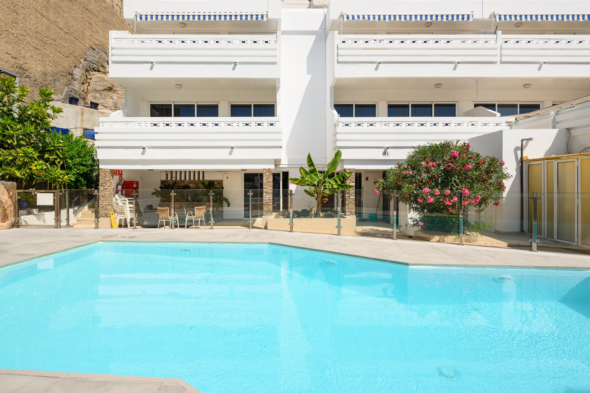 Palm Suites