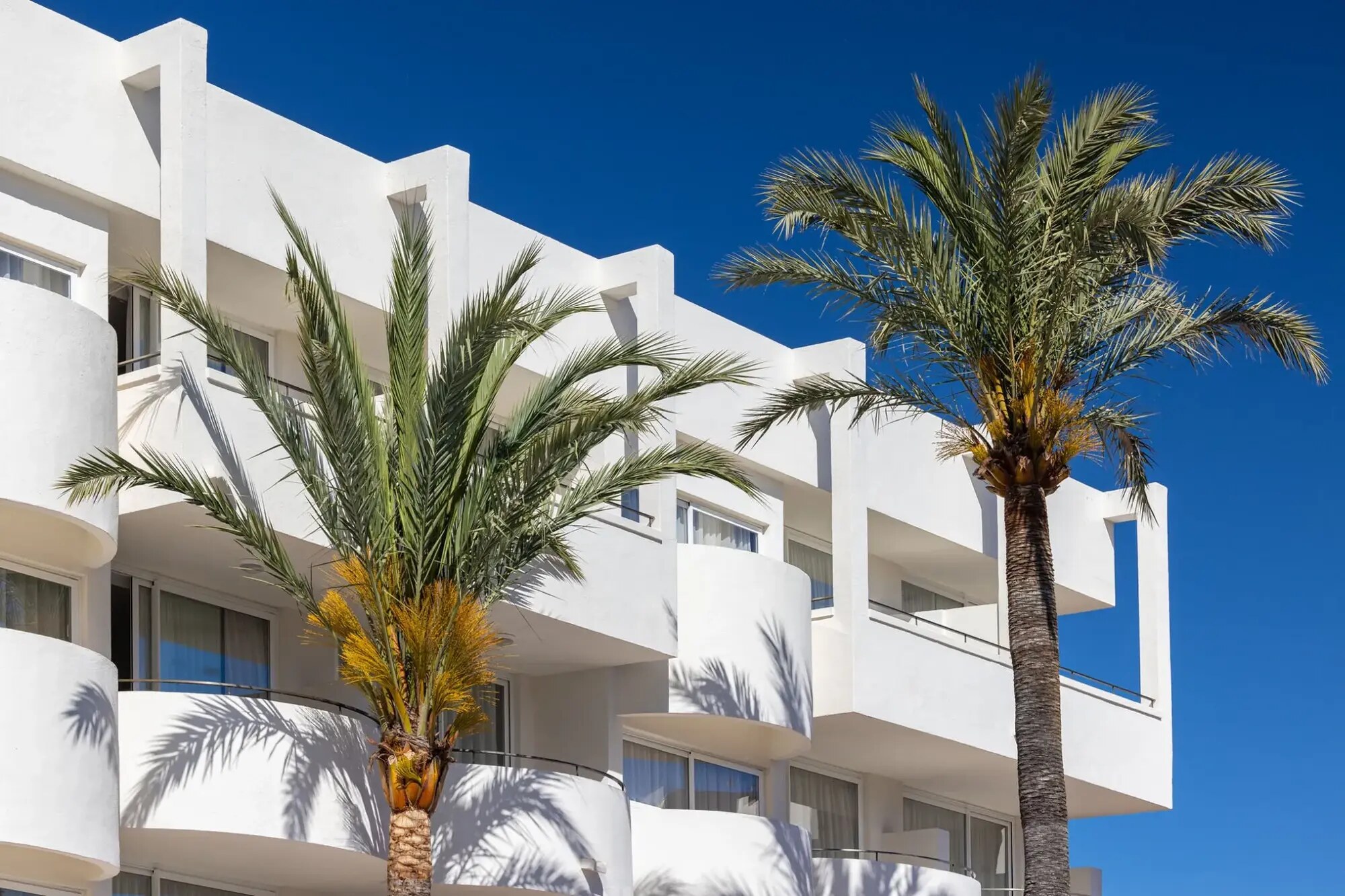 Palmanova Beach Apartments by TRH photo 3
