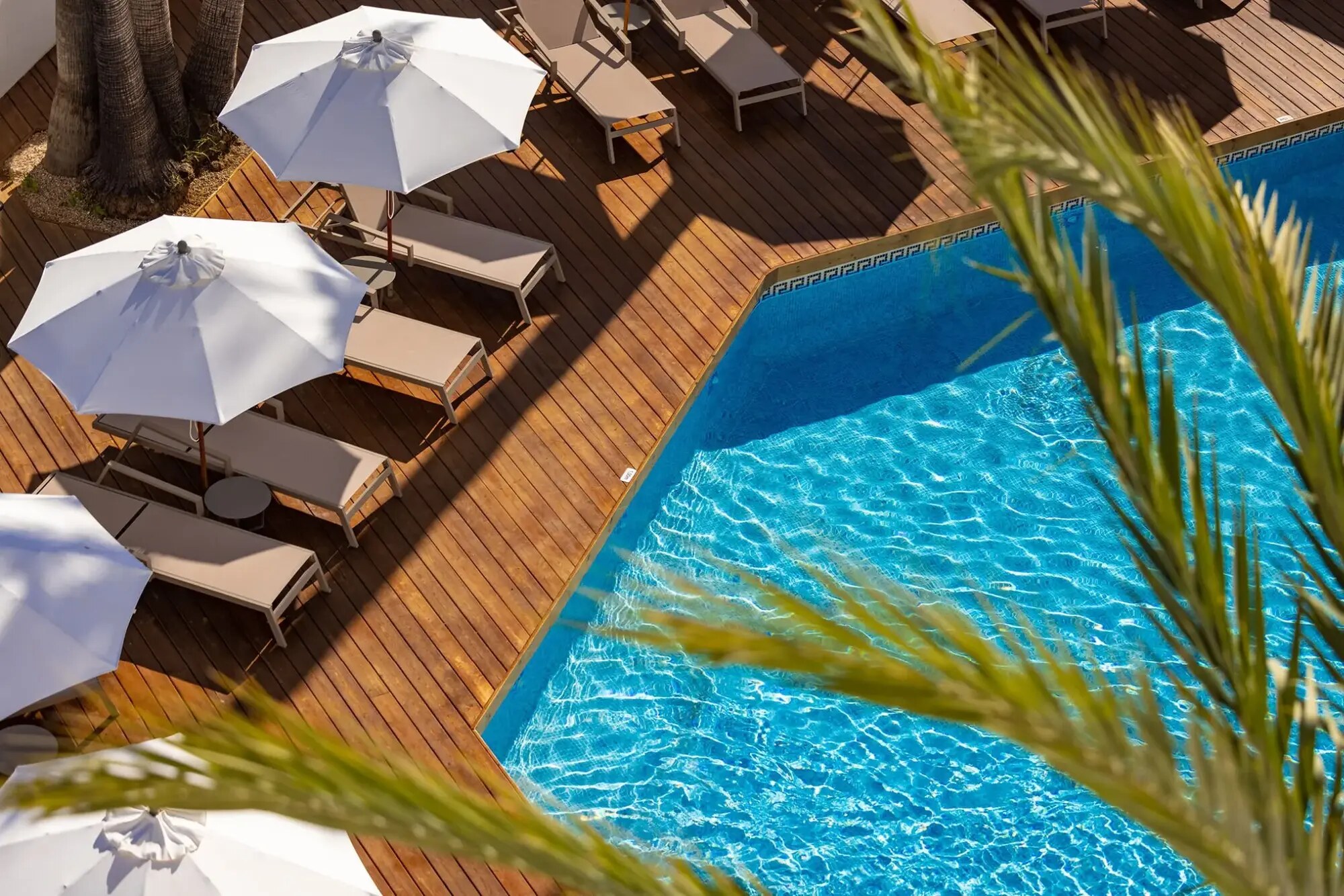 Palmanova Beach Apartments by TRH photo 6
