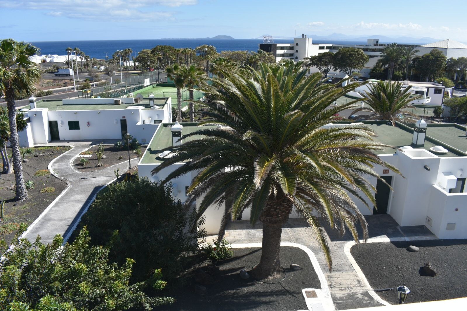 Palmeras Garden photo 5