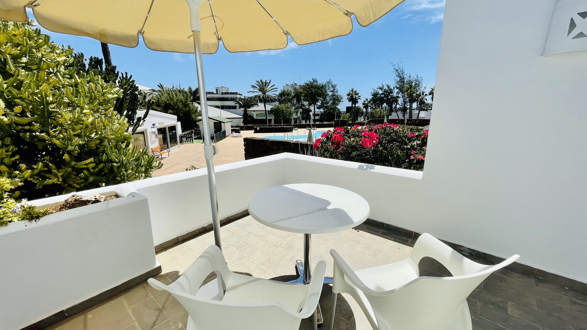 Palmeras Garden photo 9