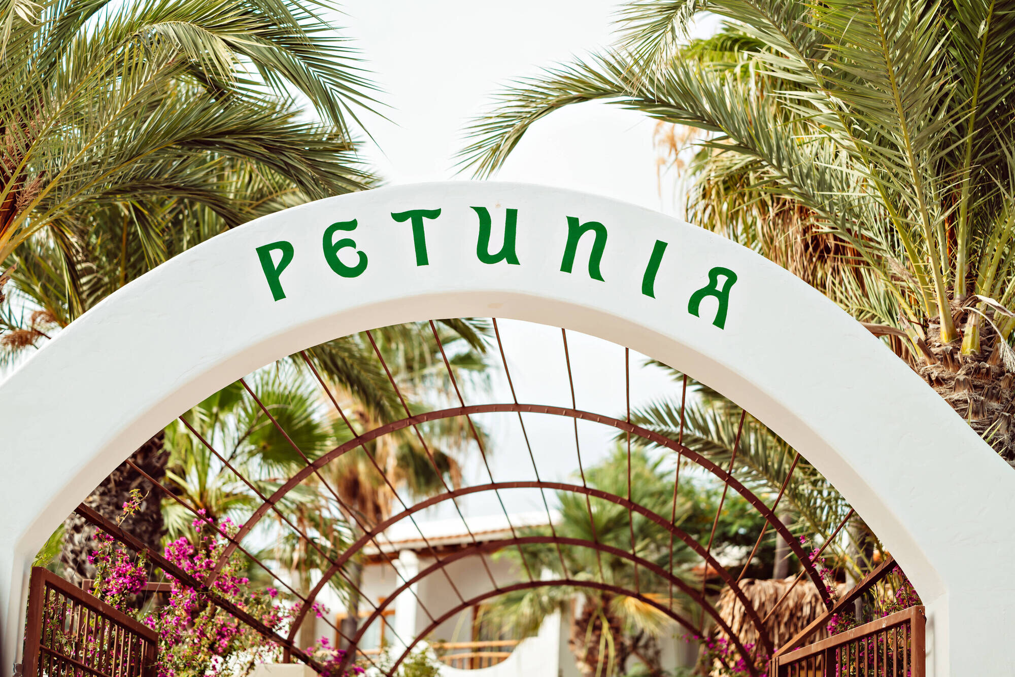 Petunia Ibiza, A Beaumier Hotel photo 4
