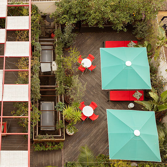 Praktik Garden photo 4