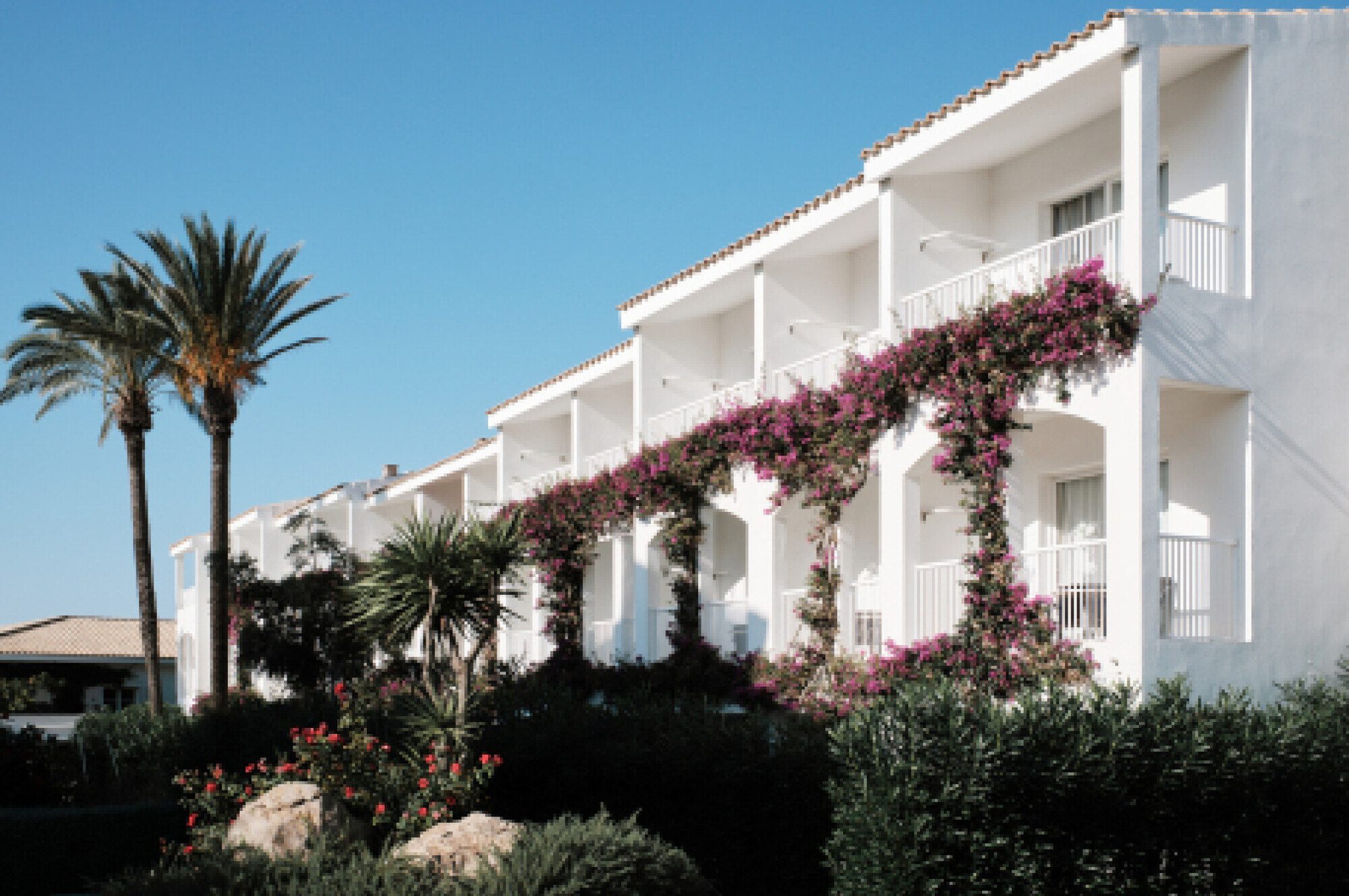 Prinsotel La Caleta Hotel photo 3