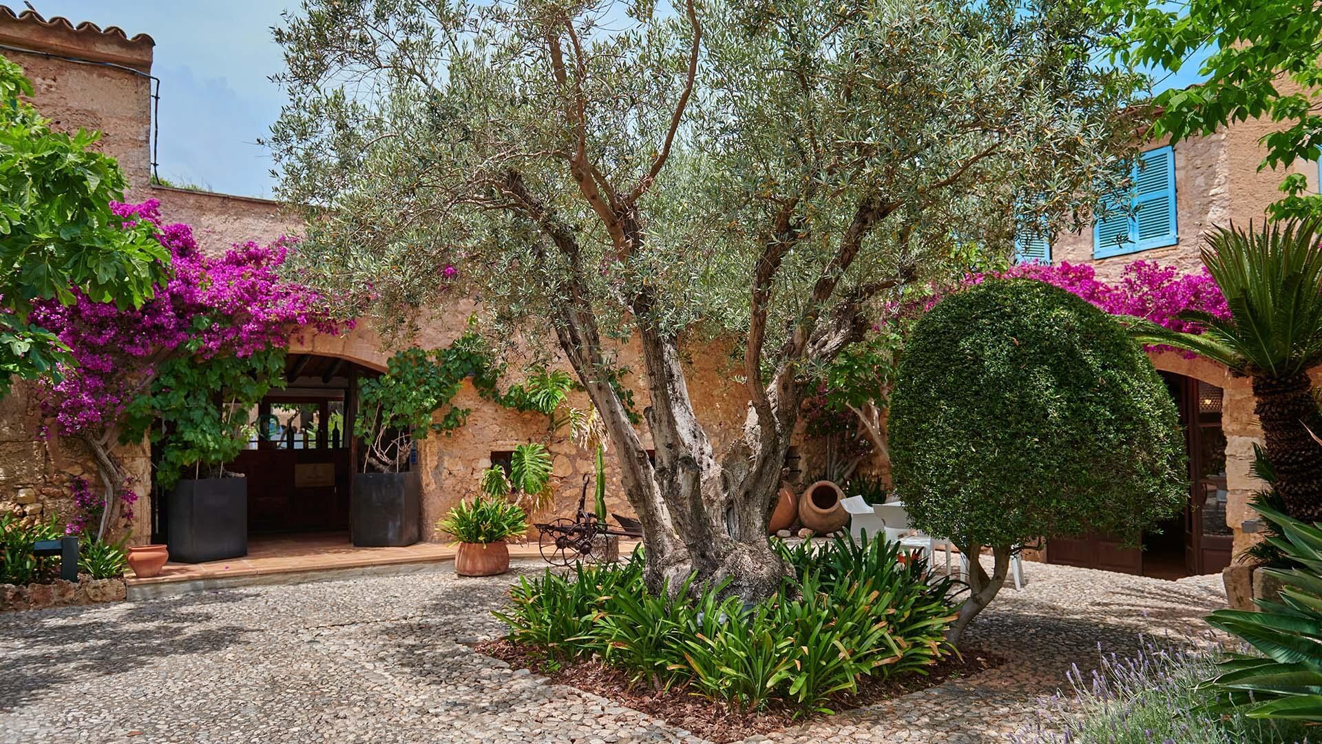 Residencia Son Floriana photo 4