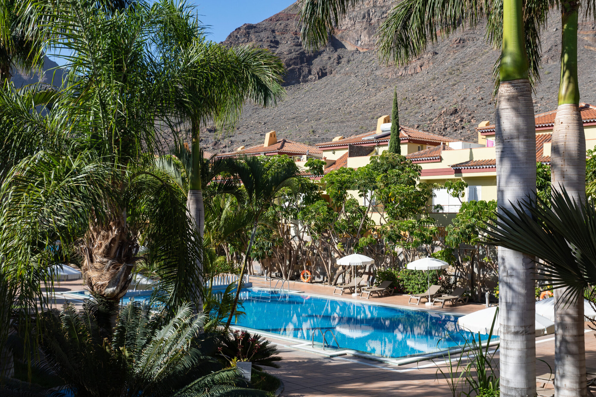 Residencial El Llano photo 3