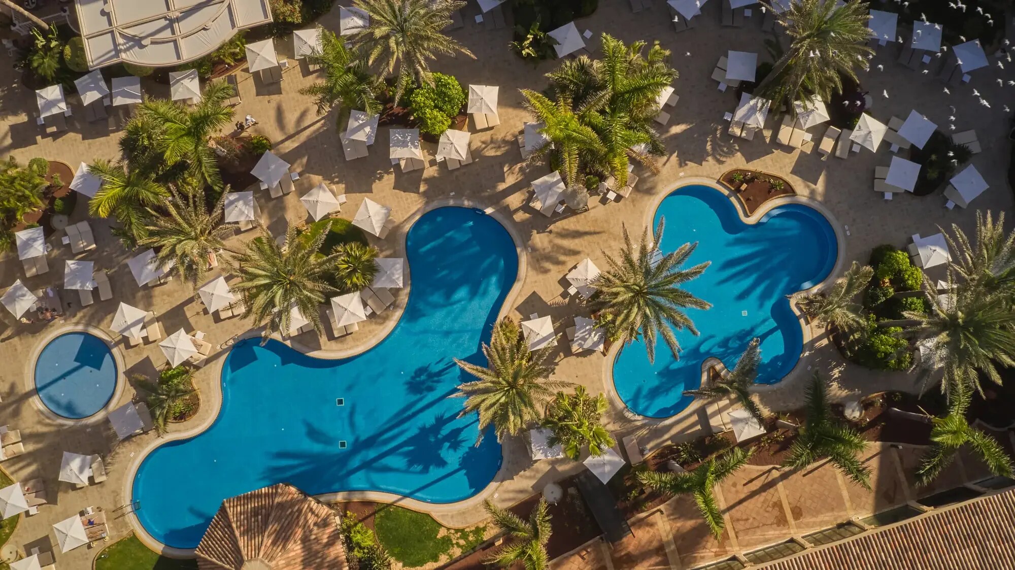 Secrets Bahia Real Resort & Spa photo 2