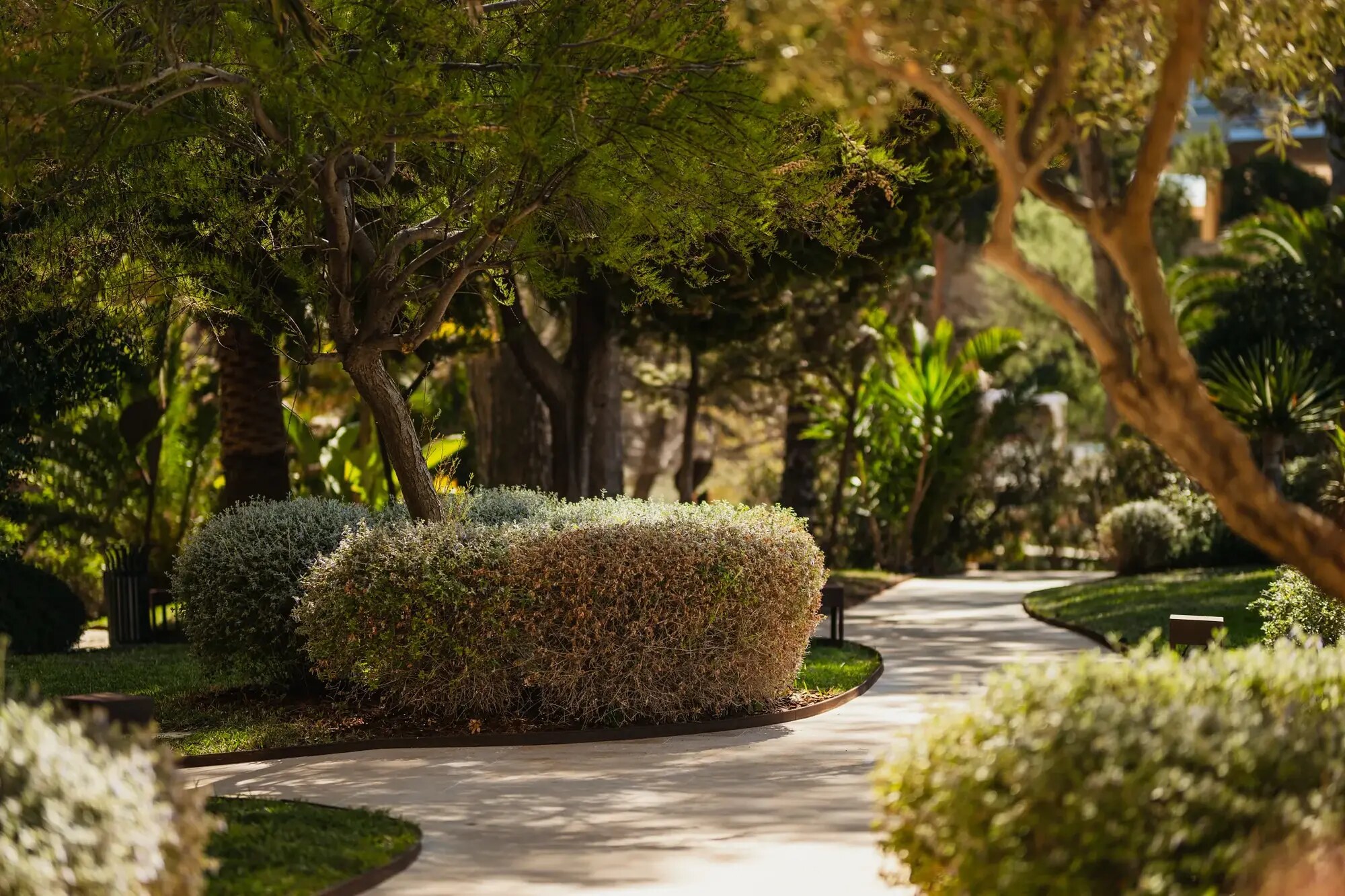 Secrets Mallorca Villamil Resort & Spa photo 4