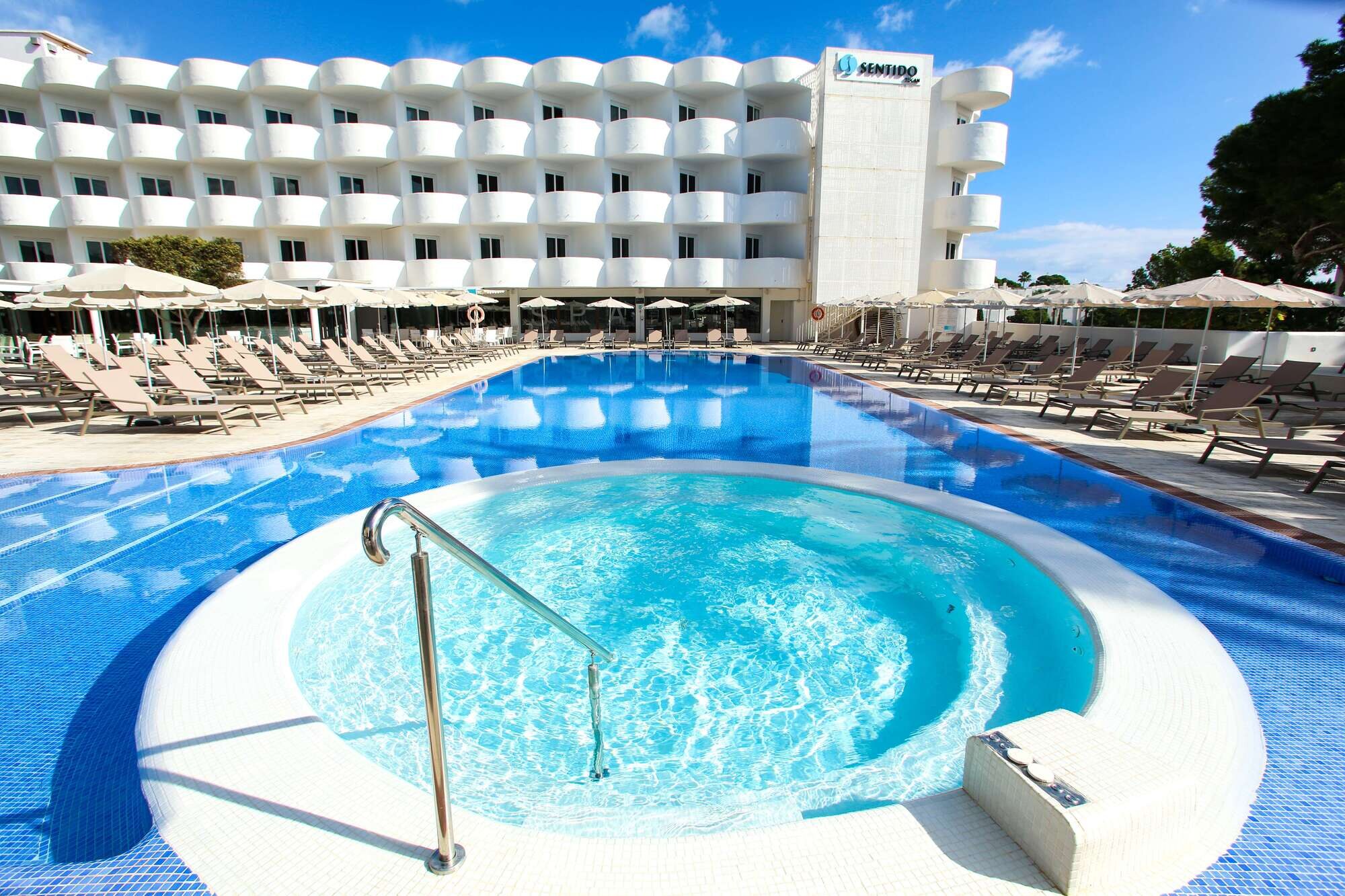 Sentido Fido Tucan photo 1