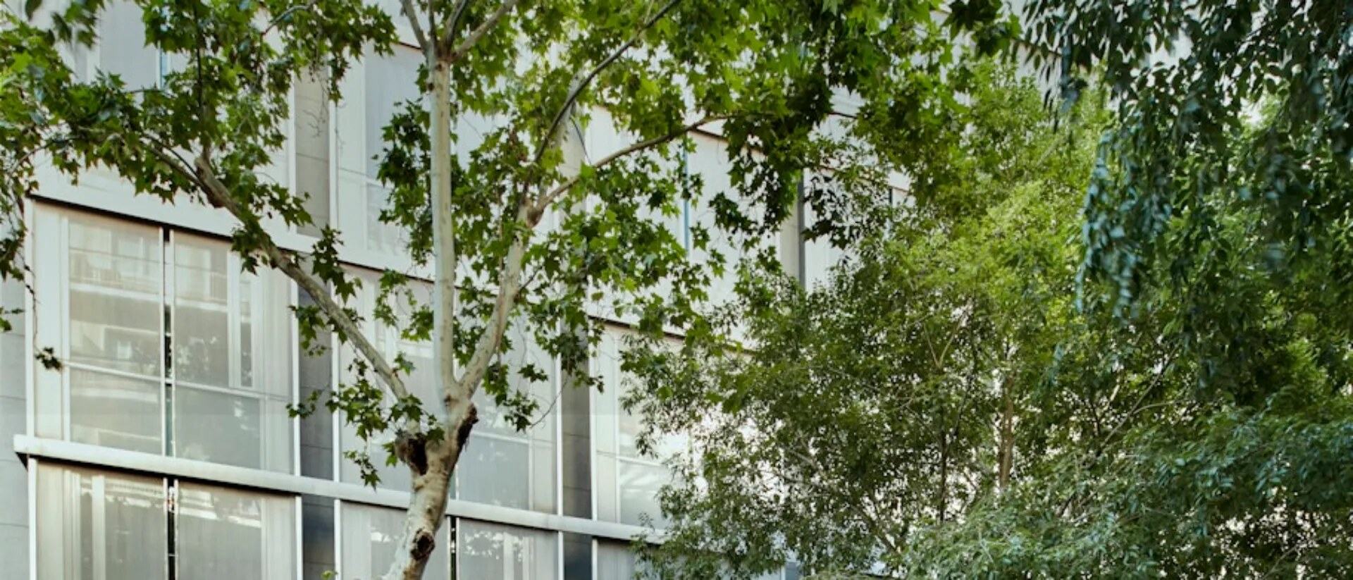 Sercotel Caspe photo 2