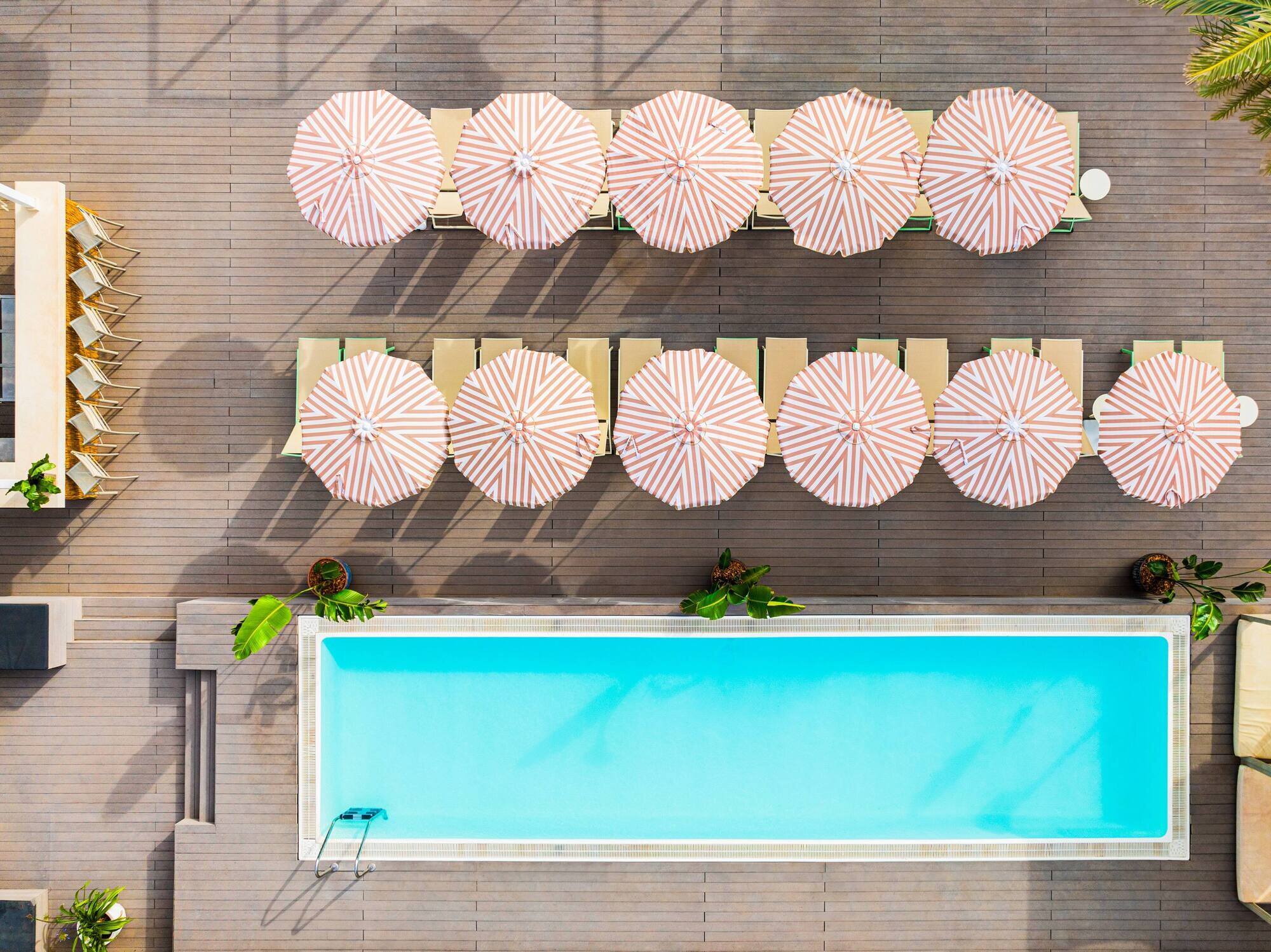 SOL House Mallorca photo 3