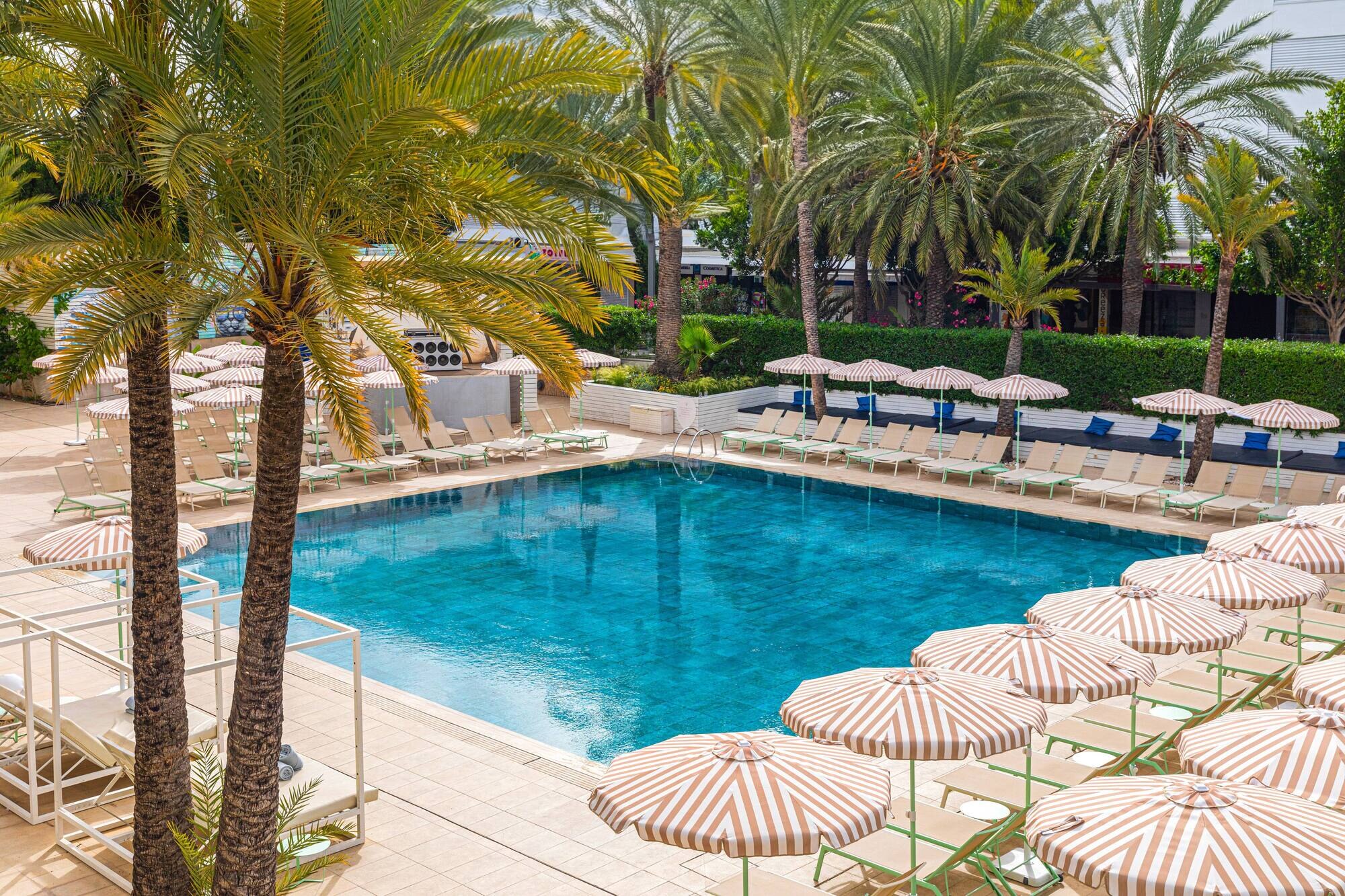 SOL House Mallorca photo 4