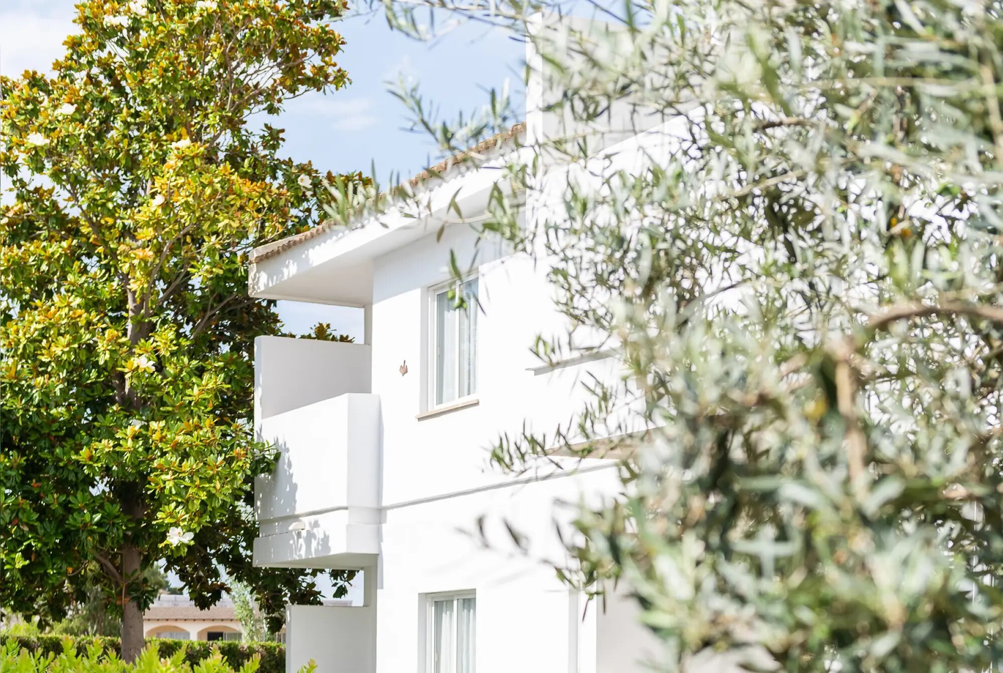 Solecito Apartments photo 3