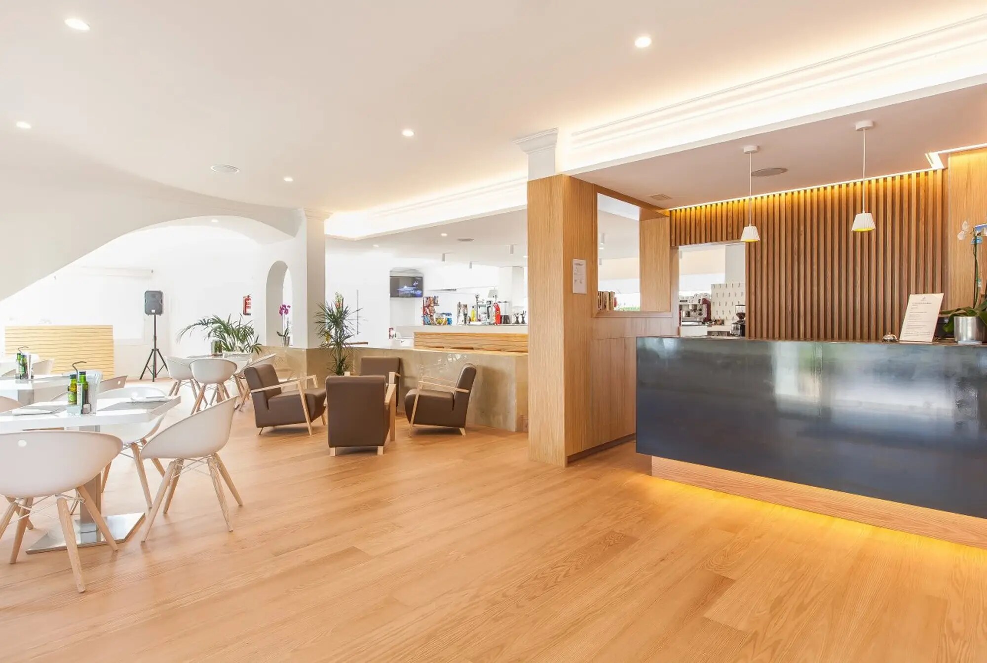 Solecito Apartments photo 7