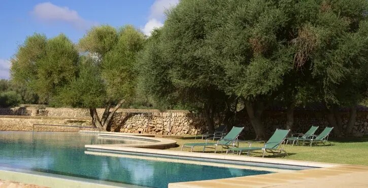 Son Cosmet photo 3