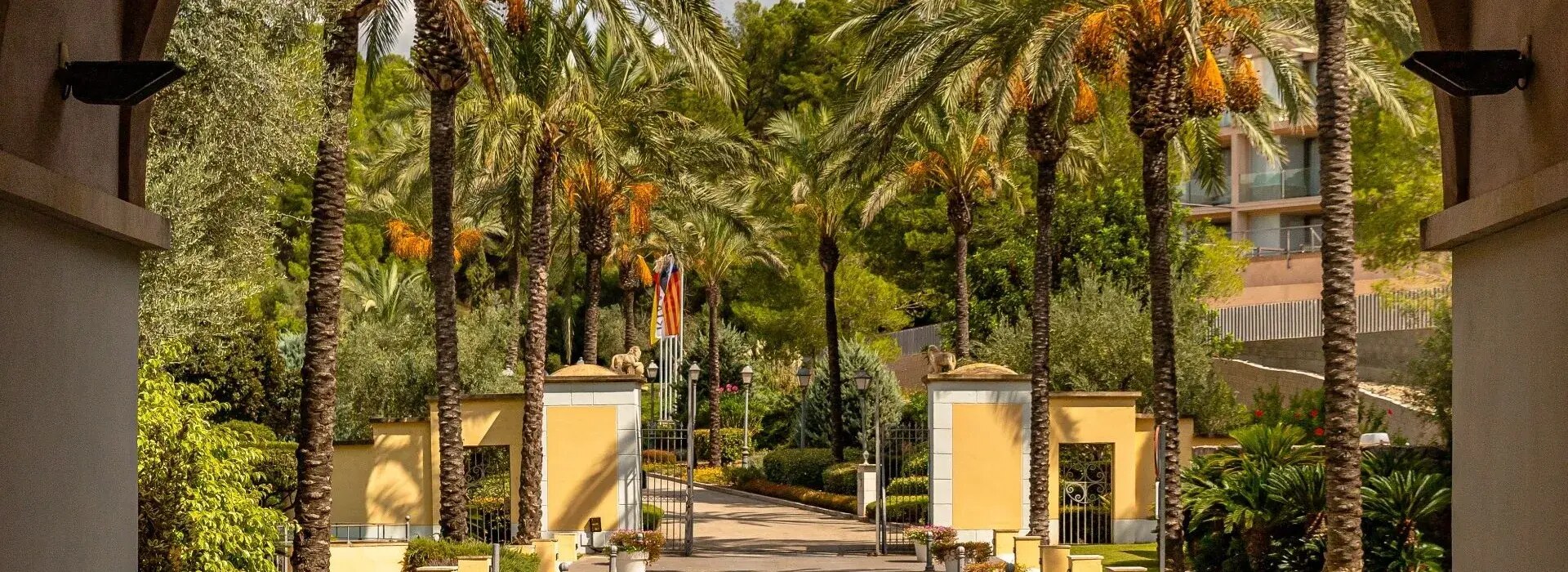 Steigenberger Hotel & Resort Camp de Mar photo 4