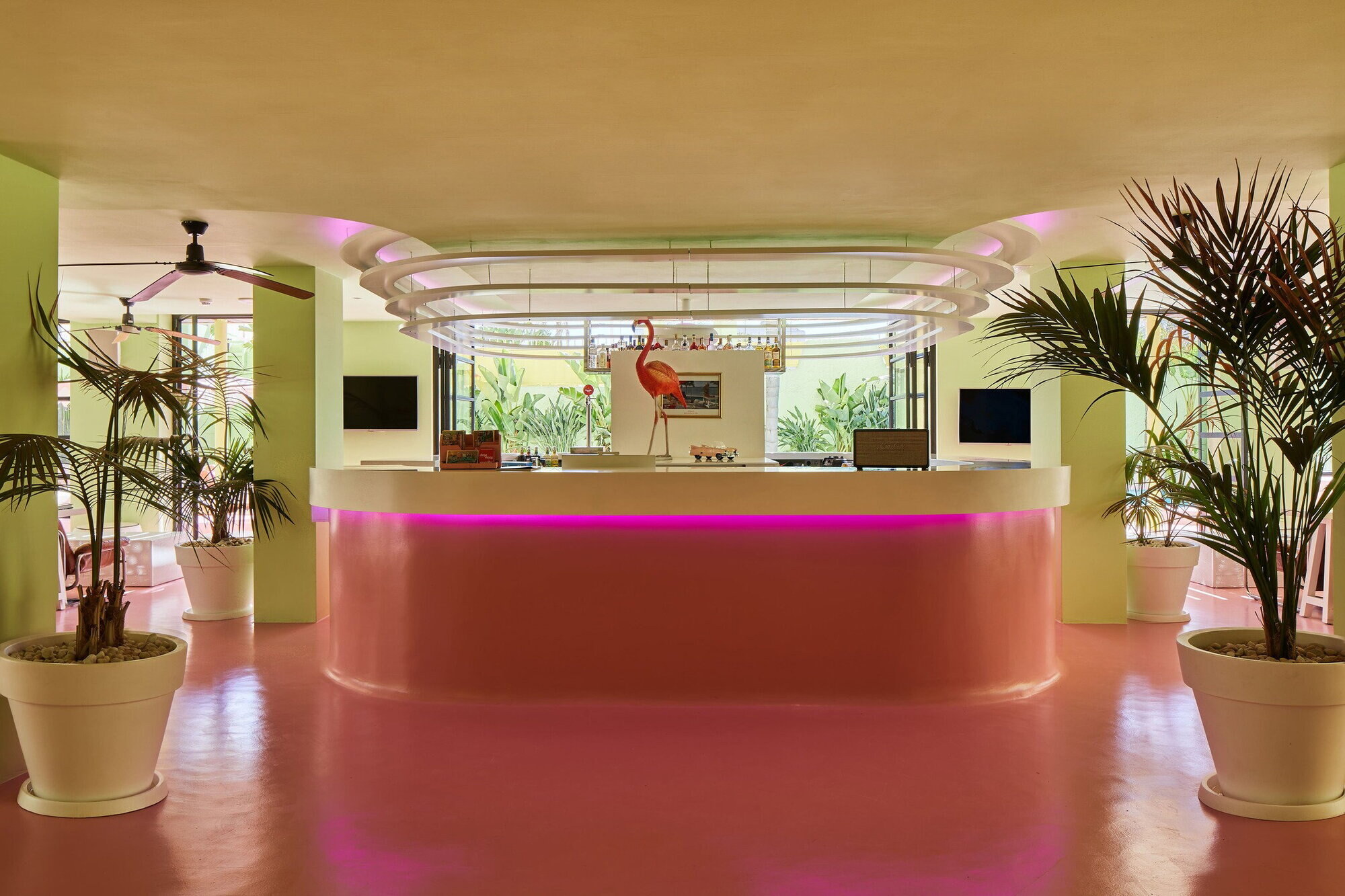 Tropicana Ibiza Suites photo 6