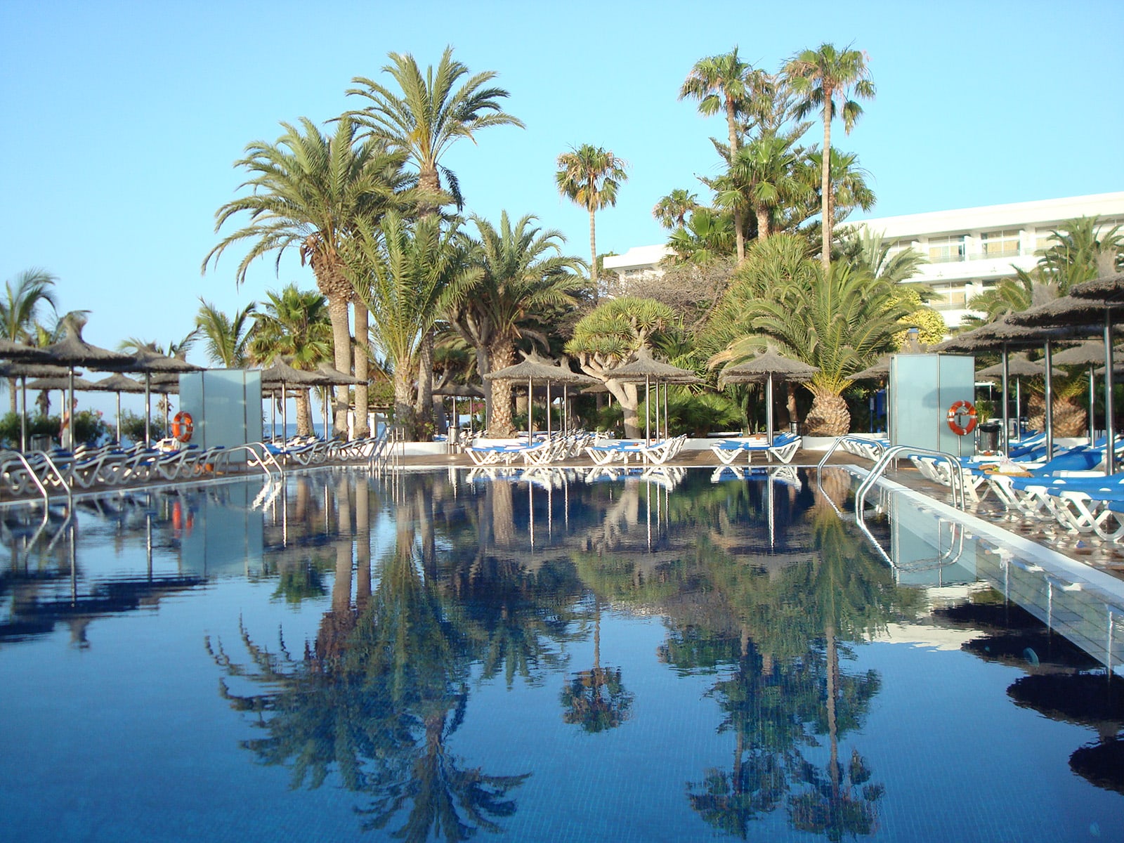 VIK hotel San Antonio photo 4