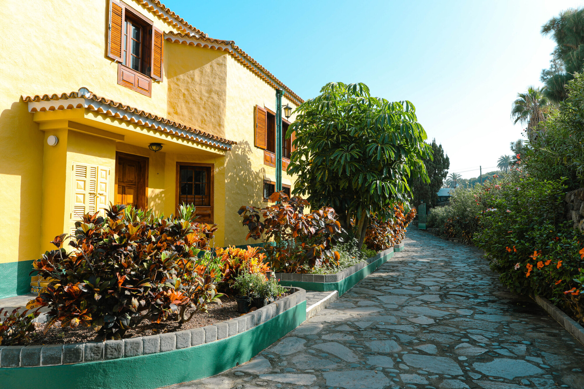 Villas Los Pajeros photo 4