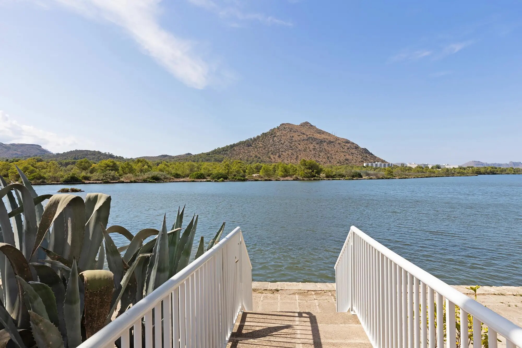 Viva Eden Lago photo 7