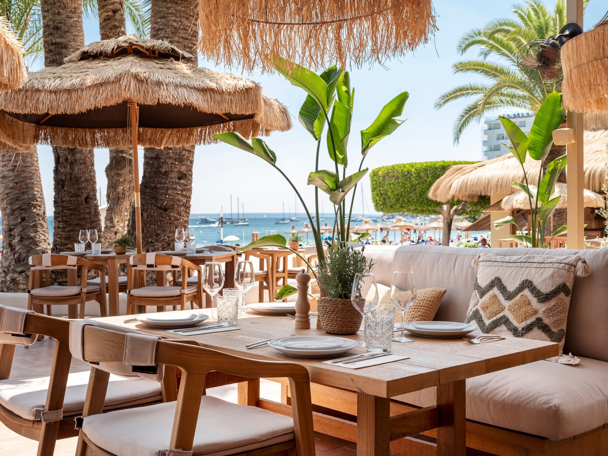 Zel Mallorca photo 10