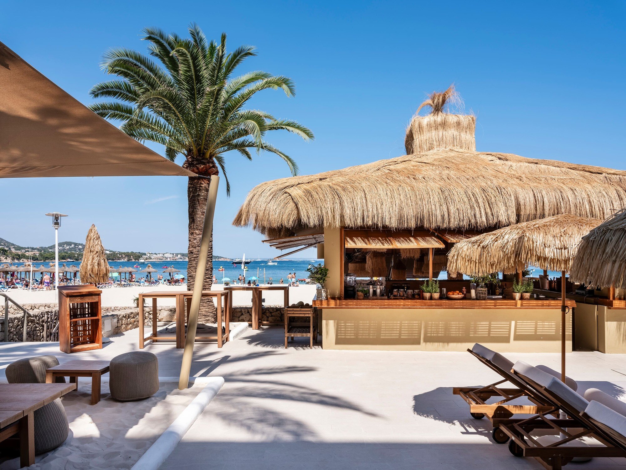 Zel Mallorca photo 2